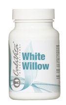 White Willow 
